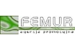 Agencja Promocyjna Femur (Wi-Fi Hotspot)